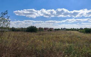 5.900 mp pentru Dezvoltare Rezidențială – Str. Polonă, Periș - Poză 6