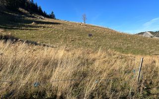 Teren Fundatica intravilan 4500 mp - Poză 12