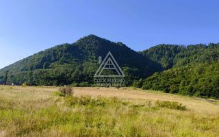 240 Hectare Pădure Valea Oltului Resurse Naturale Potențial Turistic - Poză 4