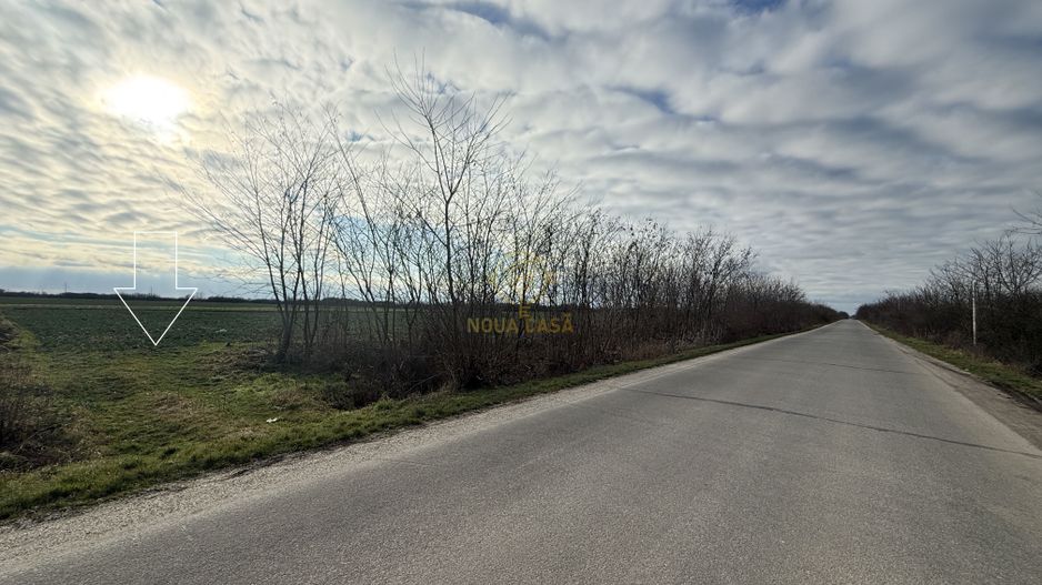 Teren 6600MP Cu Front Stradal 101 M La Intrare in Lazuri Str Botizului - Poză 5