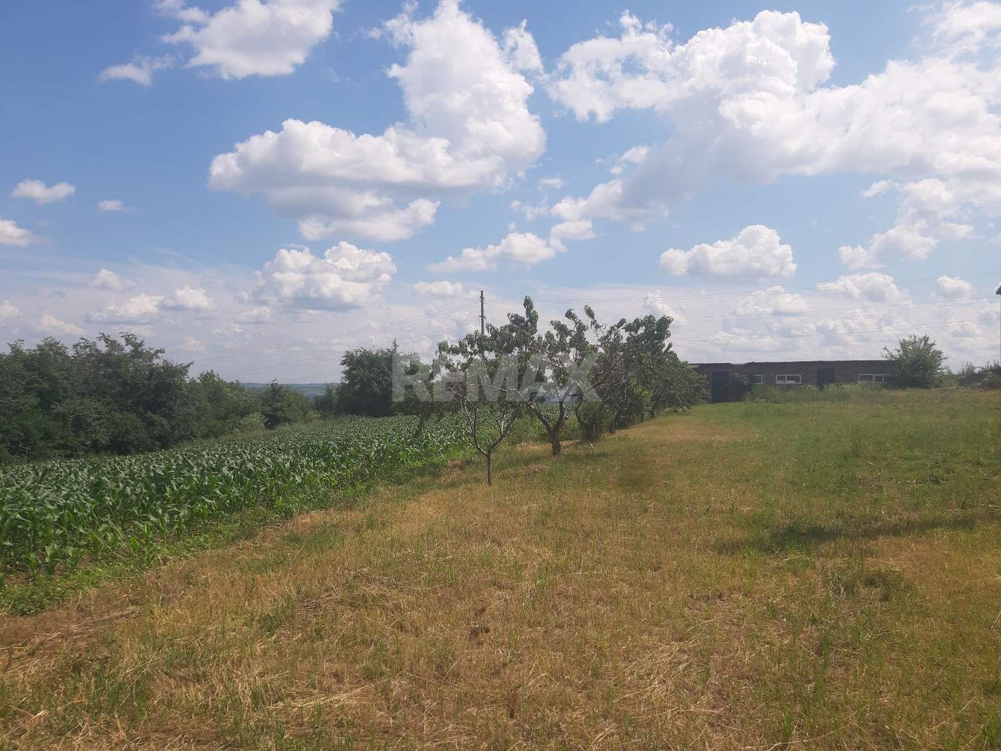 Teren cu spații industriale sau depozitare - Poză 8
