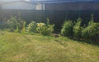 Casă individuală, 3 camere, plan parter, în spate la Lidl Bucium, construcție 2018 - Poză 8