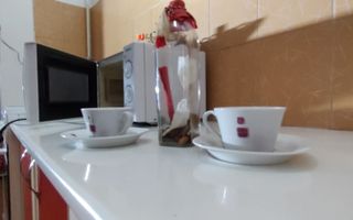 Apartament 2 camere | etal 2 | 50MPU | Turnisor - Poză 1