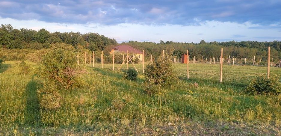 Teren intravilan in Gepiu - Poză 2