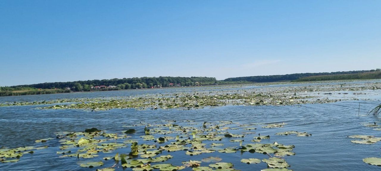 Teren Intravilan Snagov - Poză 3