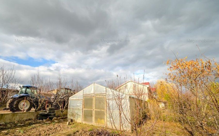 Vanzare ferma agricola Negru Voda - Constanta cu 240 hectare teren si utilaje - Poză 20