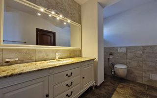 Vilă impresionantă *teren 1000mp // Erou Iancu Nicolae - Poză 101