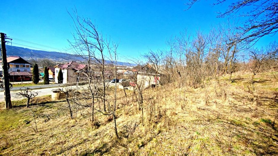 Spațiu comercia cu teren Dârmănești, Argeș-ideală pentru locuința sau afacere  - Poză 16