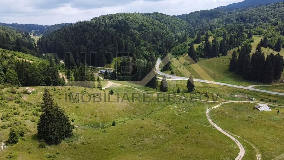 Teren Intravilan | Poiana Brasov | 5.000mp | Necesar PUZ - Poză 4