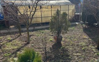 Casa Individuala | 240Mp | Zona Sub Arini | Garaj - Poză 18