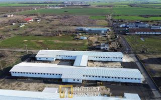 HALA INDUSTRIALA DE INCHIRIAT | PECICA – ARAD - Poză 8