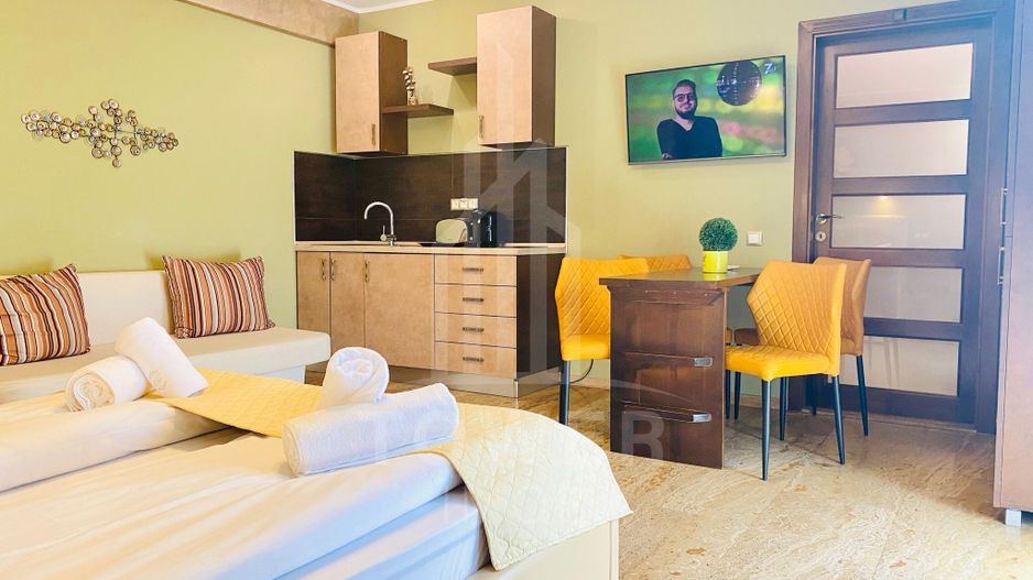 Studio de închiriat-Zona Centrala - Poză 1