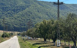 Teren industrial,Cucului-INA-Avicola - Poză 8