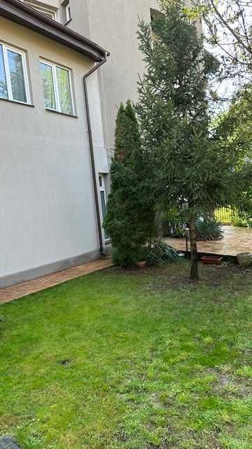 Vila de vanzare - zona Iancu Nicolae -  Serban Cantacuzino - Poză 2