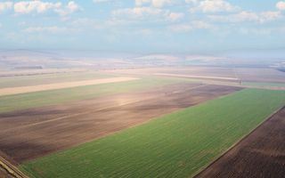 5 Ha | Teren extravilan | Langa Fabrica Reci - Poză 5