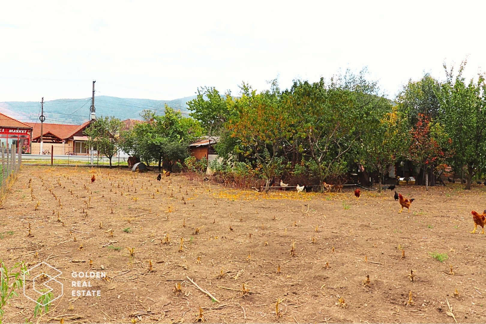 Casa in centrul localitatii Galsa - LINISTE LA TINE ACASA - COMISION ZERO - Poză 15