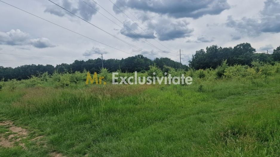 Teren extravilan Pitesti - str. Balotesi!! - Poză 10