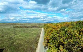 TEREN INTRAVILAN ÎN PĂDURE LA VĂRBILA - PRAHOVA – COMISION 0% - Poză 1