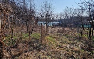 Vanzare casa cu teren, Stefanesti, Goleasca - Poză 5