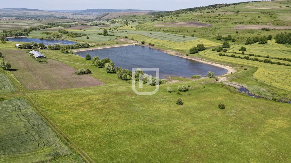 Lacurile Costanei | Todiresti | Suceava - Poză 2