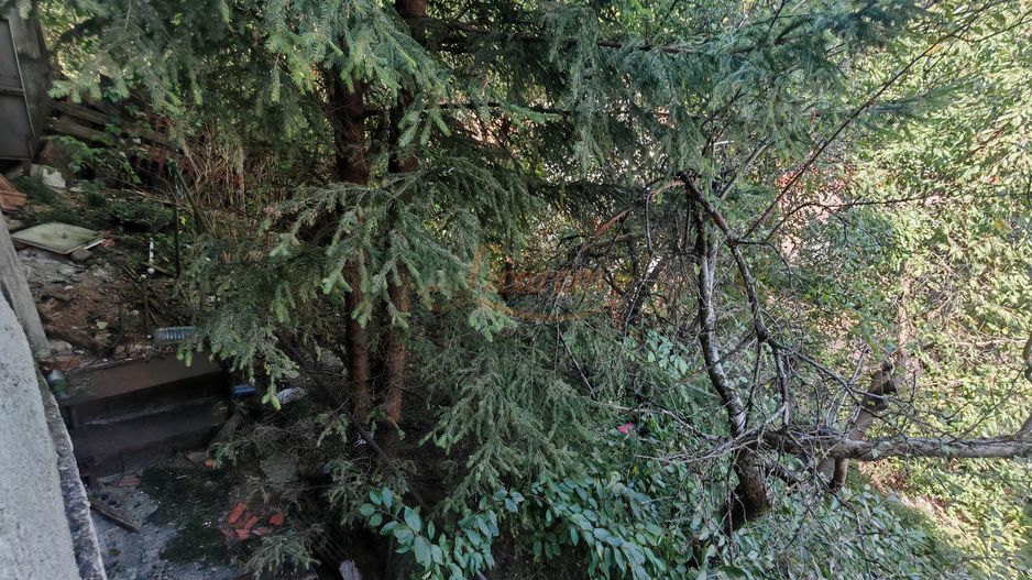 Casa singur in curte zona ZONA ISTORICA langa Seminarul Teologic - Poză 9