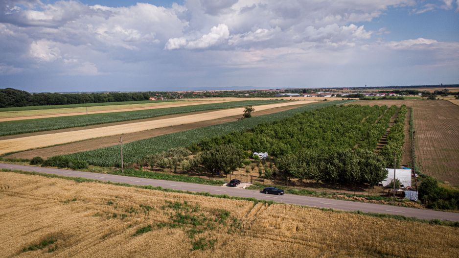 Livadă de nuci altoită și ecologică 2.5ha - Poză 2