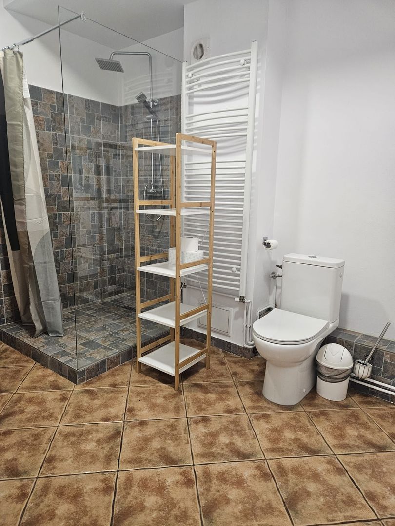 Spatiu comercial - Poză 8