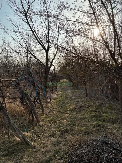 Casa Batraneasca 100 MP + teren intravilan 400 MP, 4500 MP extravilan - Poză 6