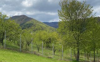 Teren 1042 mp în Tocilele de Sus – priveliște panoramică, utilități complete - Poză 1