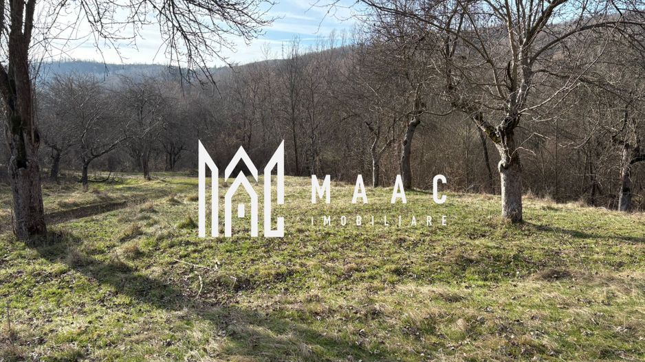 Teren de vânzare, 7750 mp I Orientare sudică I Caineni - Poză 5