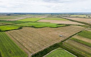 Livadă BIO de nuci de vânzare lângă Cermei - Poză 3