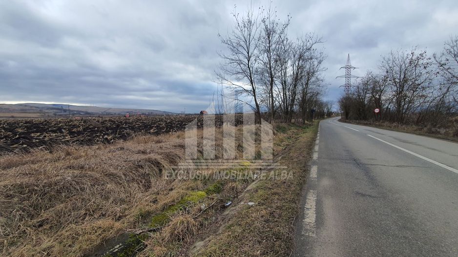 Vand teren extravilan - Poză 2