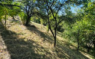 TEREN INTRAVILAN 3234 MP LEREȘTI VOINEȘTI ARGEȘ - Poză 32