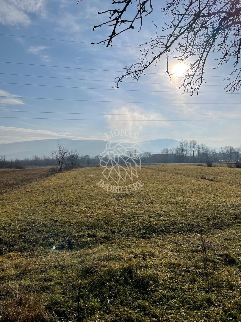 Teren 2754 mp-pretabil agricultura-Livezile - Poză 1