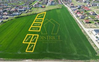 PUZ pentru servicii 7540mp | Dumbravita - Poză 1