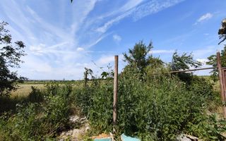 Teren de 11.000 mp cu casă și teren agricol | La 40 km de București | - Poză 21
