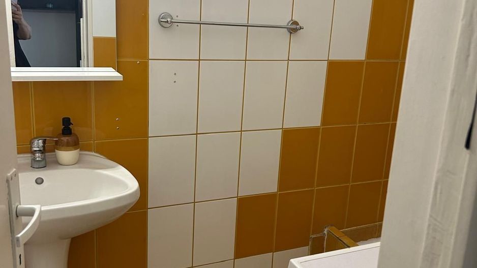 Garsonieră ultracentrală Sala Palatului - Poză 5