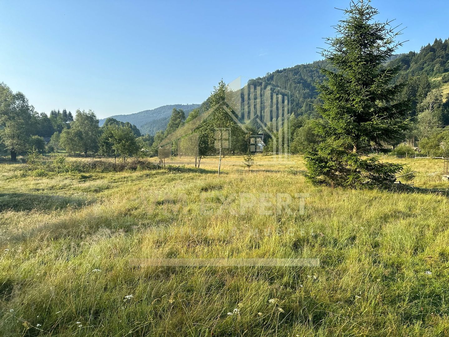 TEREN INTRAVILAN 500 MP SĂTIC- RUCĂR - Poză 2