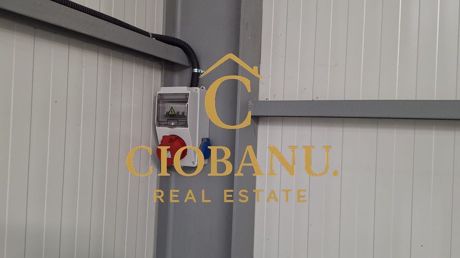 Hala de vanzare in Racarii de Jos - Poză 11