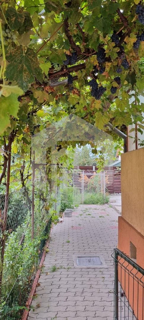 Casa de inchiriat | 2 Camere | Lazaret | 80mpu | Individuala |Pivnita - Poză 7