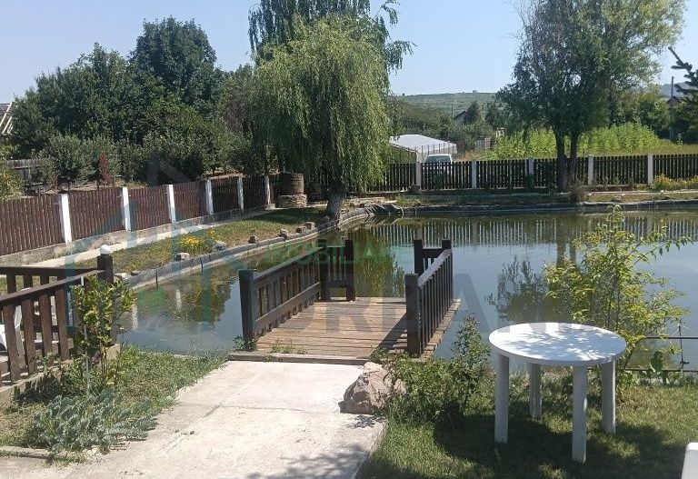 Cabana de închiriat în Iași, la 10 minute de centru - Poză 4