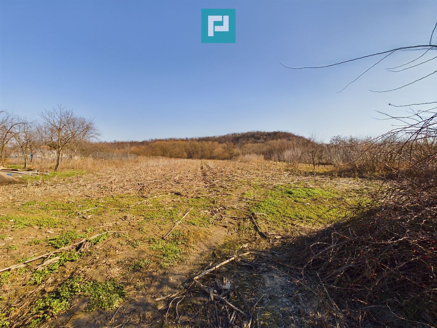 Casă rustică de vânzare în Tauț - Poză 7