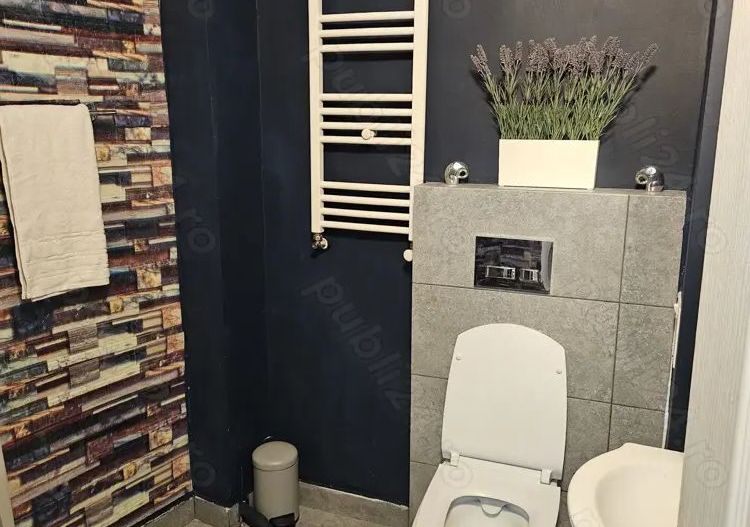 Ofer spre închiriere apartament 2 cam Cișmigiu,  str Sipotul Fantanilor - Poză 3