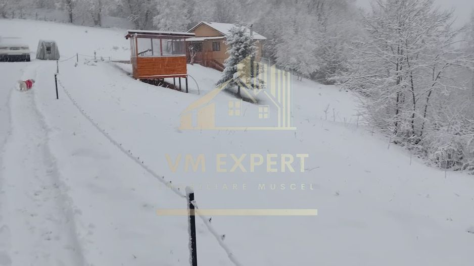 CASA 3 CAMERE, TEREN 3100 MP, ALBESTI DE MUSCEL, ARGES - Poză 22