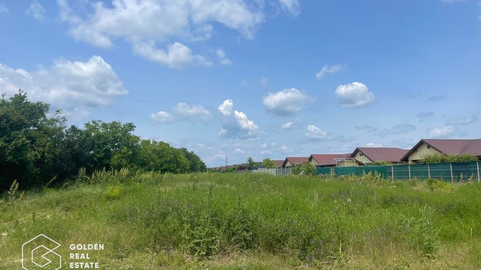 Teren intravilan, Balotești, Strada Cameliei 36, 10.000 mp - Poză 5