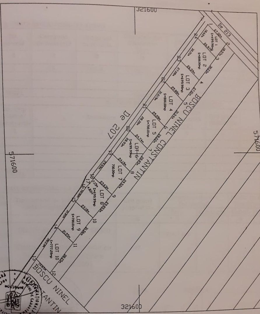 Teren intravilan in comuna Domnesti - sat Teghes - Poză 10