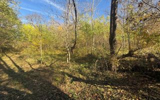 Teren langa pădure 6400mp+casa demolabila-deschidere 35 ml - Poză 5