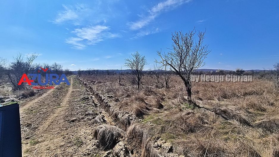 AZURA IMobiliare - Teren Iefin Bascov 3km de Giratoriu - Poză 4