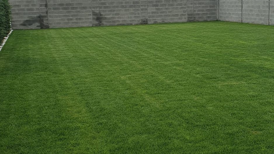 Casa individuala Dumbravita - Pădure - Poză 4