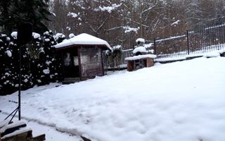 OCAZIE I Vila Busteni Poiana Tapului I Liziera padurii I COMISION 0% - Poză 16